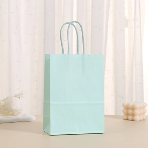 Minimalist light green kraft paper gift bag with matching handles in a cozy home setting