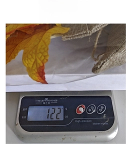 Detail shot showing a 122g autumn harvest gnome wreath decoration on a digital scale