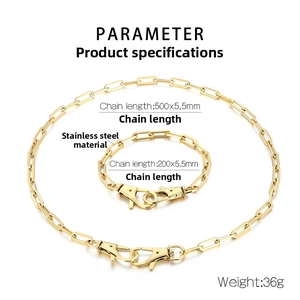 Detail of stainless steel paperclip chain set with lobster clasp and size specifications