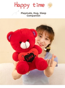 Detail of red teddy bear plush with Love heart embroidery held by a female model