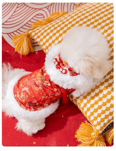 Détail d'un costume Tang rouge pour animal avec broderie dorée et bordure en fourrure