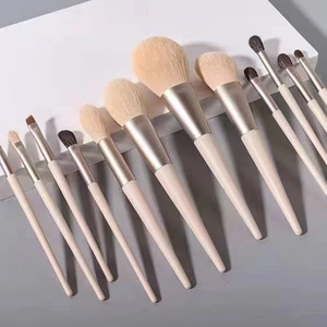 Top view of 11 professional Morandi beige makeup brushes set for face and eyes