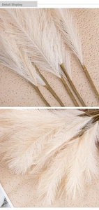 Detailed close-up showing fluffy texture and stem of 4-fork cream pampas grass