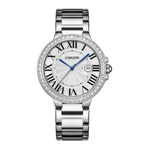 Silver luxury women's watch with diamond bezel, roman numerals, and date display