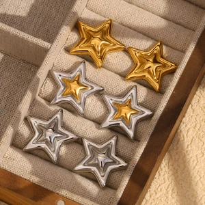 Double star stainless steel earrings in gold and silver plating displayed in a jewelry box