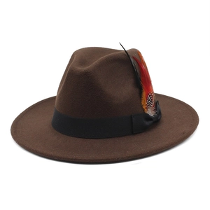 Detailed close-up of the elegant colorful feather and black ribbon on the brown felt hat