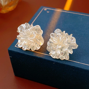 Vue macro de boucles d'oreilles fleur transparente avec cristaux et clous en argent
