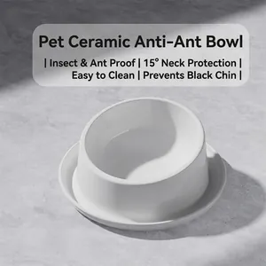 White ceramic anti-ant pet bowl with 15-degree tilt design for neck protection
