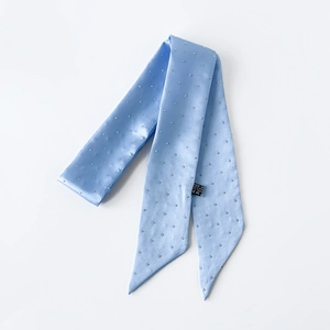 Detail eines hellblauen Satin-Halstuchs mit silbernen Metallpunkten und dem Waschetikett