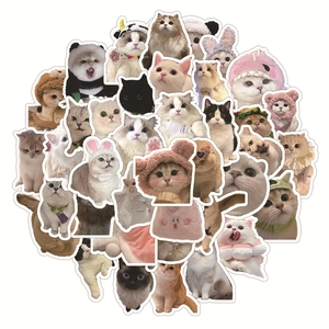 Set of 60 realistic cute cat stickers featuring various breeds in cosplay outfits