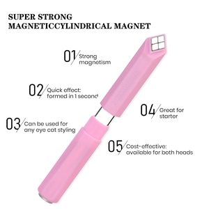 Strong dual-head cat eye nail magnet tool for professional DIY manicure art styling