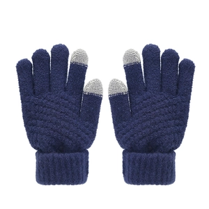 Close-up of navy blue winter gloves with grey touchscreen-sensitive fingertips design