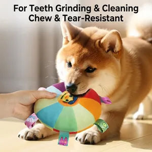 Rainbow plush squeaky dog frisbee toy for interactive training and chew resistance