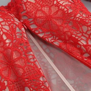 Macro du tissu en dentelle rouge avec doublure en mesh et fermeture éclair invisible