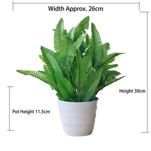 Detailed size view of artificial Boston fern in white plastic pot with 30cm height
