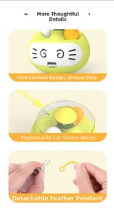Detail view of cat tumbler toy featuring a cat face design and detachable feather wand