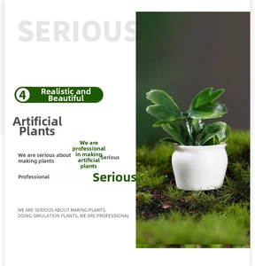 Miniature succulent plant in white ceramic pot for dollhouse garden landscape