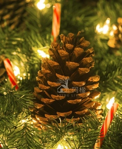 Close-up of a natural pine cone ornament with warm festive lights and pine branches