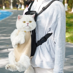 Detail of breathable mesh pet front carrier with adjustable padded straps in park setting
