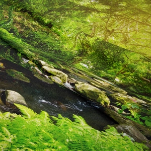 Close-up of textured forest tapestry fabric showing detailed weaving and green trees