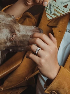 Moissanit 925 Silber Auge des Horus Ring an einer Hand, die einen Hund streichelt
