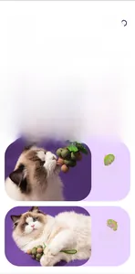 Detailed view of grape-shaped catnip balls with green leaves and durable hanging rope
