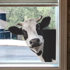 Humorous Peeking Cow Window Sticker Funny Animal PVC Wall Decal For Glass Door Home Living Room Beautification Decoration