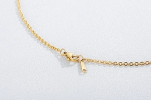 Detailed close-up of golden stainless steel necklace chain with lobster clasp and tag