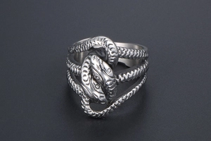 Macro shot of silver punk snake ring showing intricate scale textures and dual head design