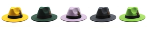Close-up of wool fedora hats in five colors featuring side feather and black band trim