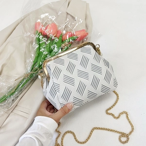Detail of grey and white woven shell bag with vintage metal clasp and golden chain strap