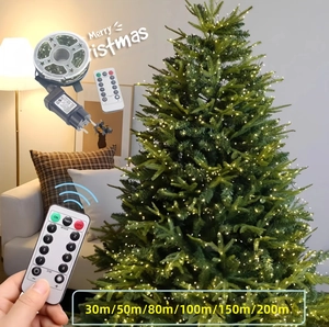 Detail of LED Christmas lights with remote control and multiple length options