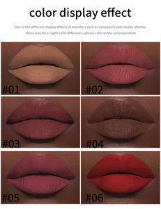 Lip gloss set detail showing six velvet matte shades from nude to classic red on lips