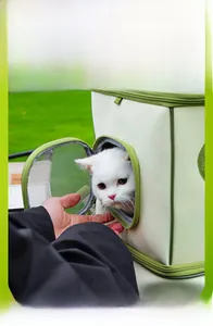 Detail view of pet carrier showing side mesh opening for interaction with a white cat inside