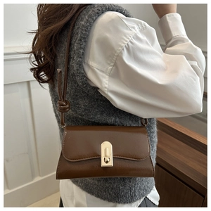Detail view of dark brown baguette bag with golden metal clasp and side knot strap
