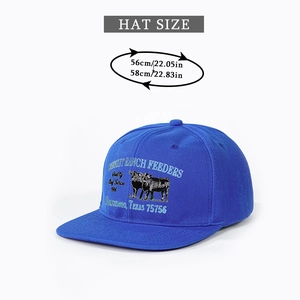 Detail showing embroidered Texas Ranch Feeders logo on royal blue snapback cap