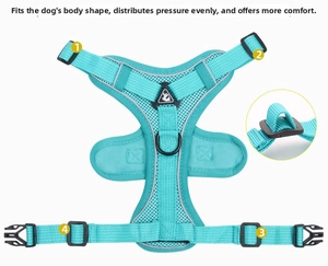 Detail of adjustable buckles and breathable mesh on teal reflective pet harness