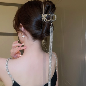 Vue détaillée d'une pince à cheveux papillon argentée avec de longs glands en strass