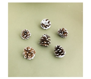 Close-up of natural pine cones with white snow effect for Christmas DIY decoration