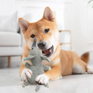Close-up of a Shiba Inu dog playing with a durable grey plush elephant squeaky toy