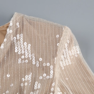 Detailed close-up of champagne sequins and fine mesh fabric on a sexy evening gown