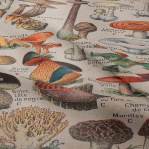 Close-up of woven fabric texture with vintage mushroom botanical patterns and French labels