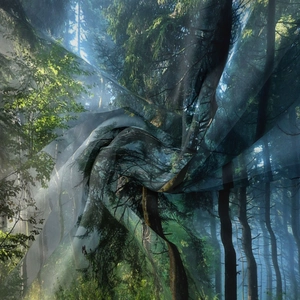 Dettaglio del tessuto del tappeto forestale con stampa realistica della giungla densa
