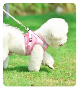 Close-up of pink breathable mesh harness and leash on a white dog in a park