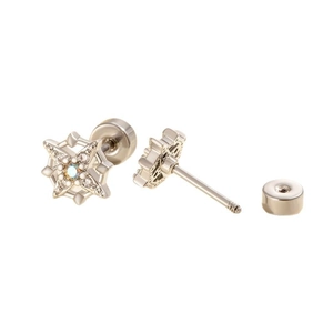 Titanium steel star stud earring with shimmering zircon and screw back on white background