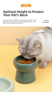 Close-up of a dark green elevated ceramic cat bowl with food to protect pet neck and stomach