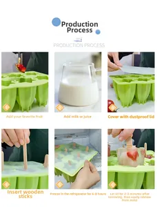 Guide d'utilisation du moule à glace en silicone vert à 6 cavités avec couvercles