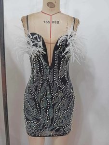 Détails de robe à décolleté en V avec paillettes, perles blanches et des plumes