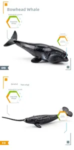 Realistic bowhead and narwhal ocean animal models with detailed textures on white background