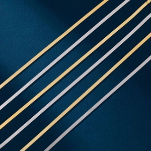 Detail of parallel gold and silver flat snake chains with polished metallic luster